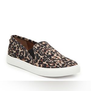 Steve Madden Leopard Print Shoes